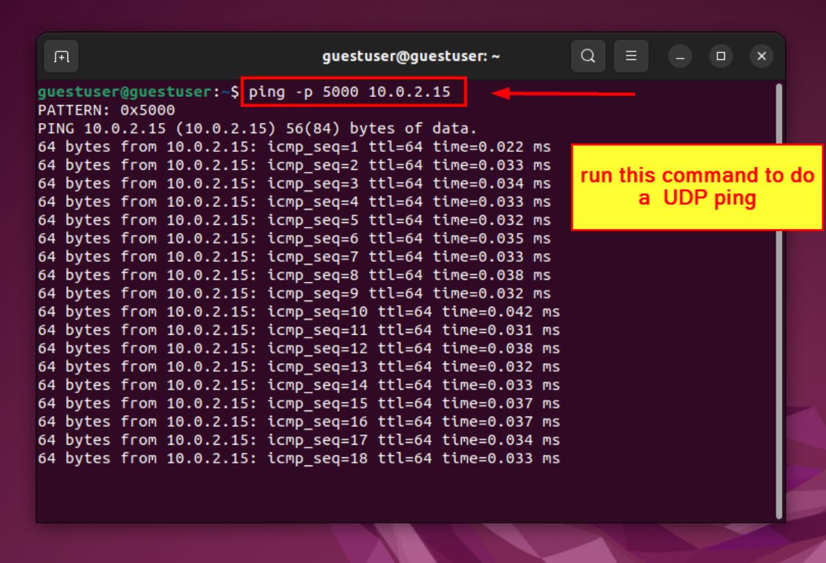 How to Do a UDP Ping in Linux [3 Effective Methods]