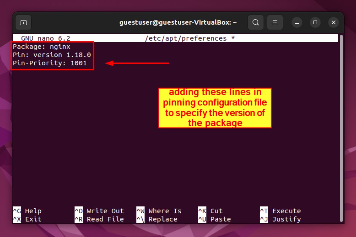 Apt Install Specific Version of a Package How to Do It?