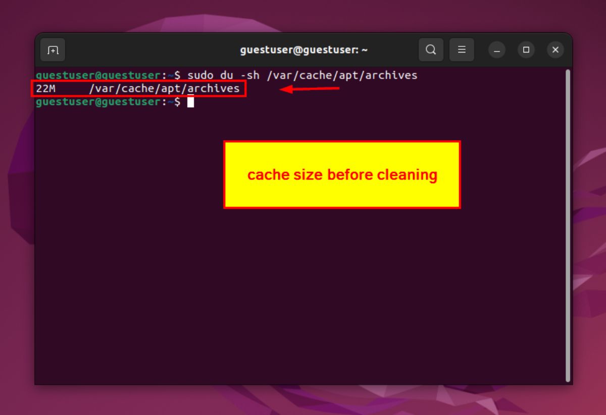 How to Clear apt Cache in Ubuntu [5 Effective Methods]
