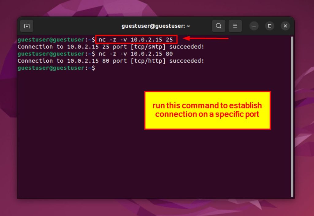 How to Use the Netcat Command in Linux [5 Best Uses]