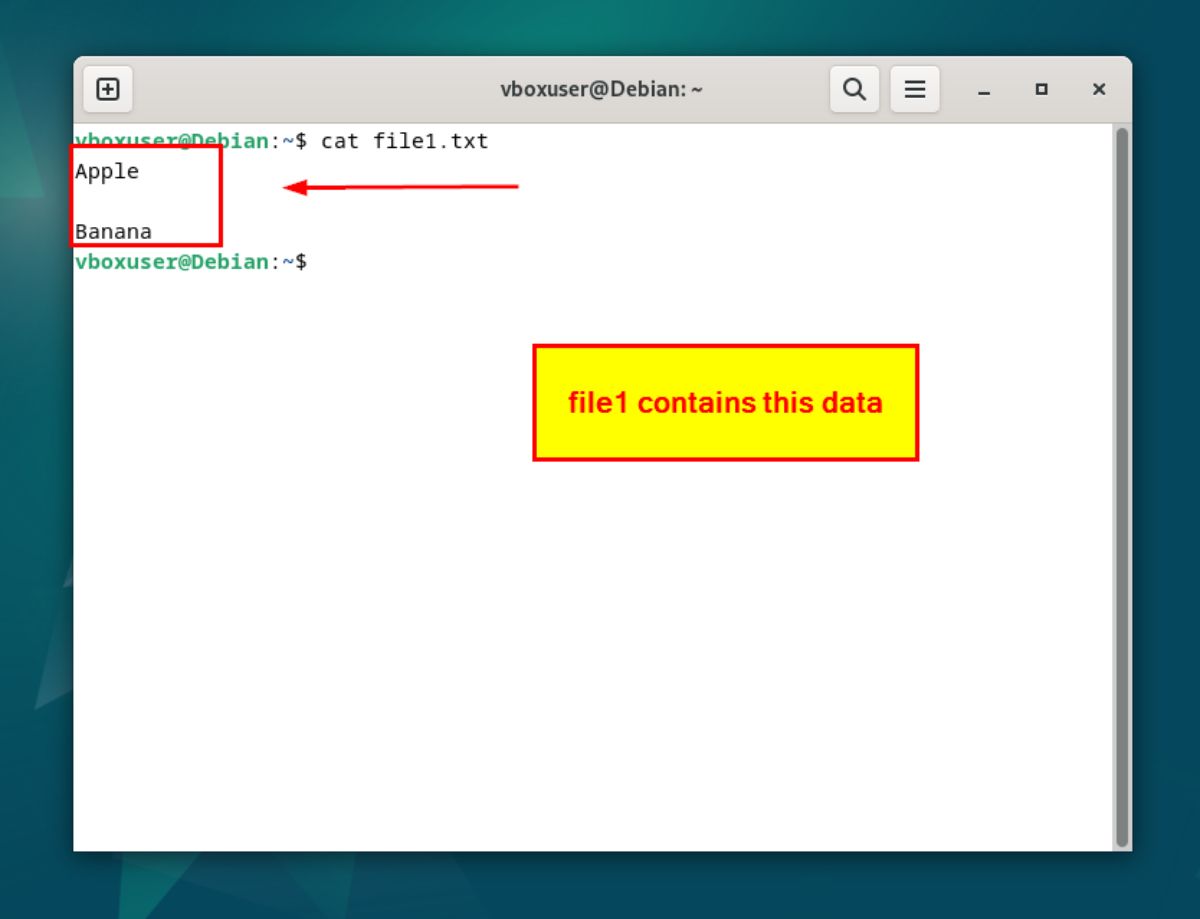 How to Use Linux Paste Command [4 Best Uses]