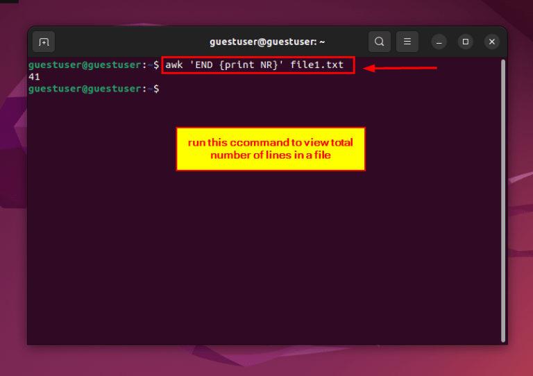 How to Count Lines in File Linux [8 Simple Methods]