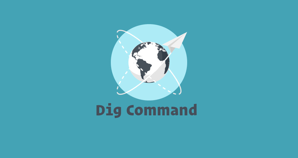 Dig Command in Linux (DNS Lookup) Linuxize