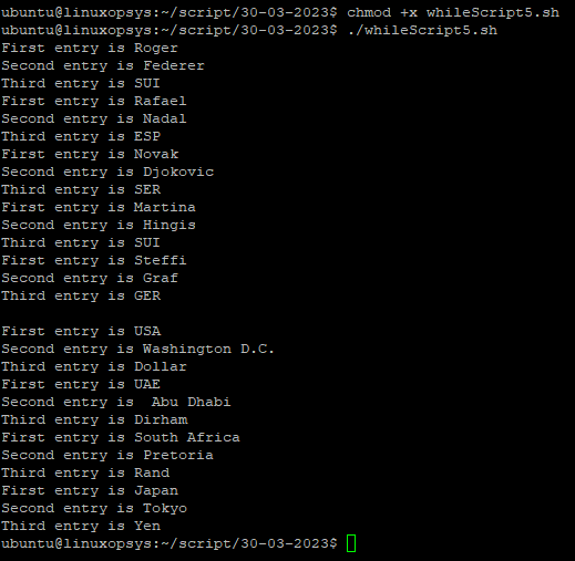 Bash While Read Line by Line