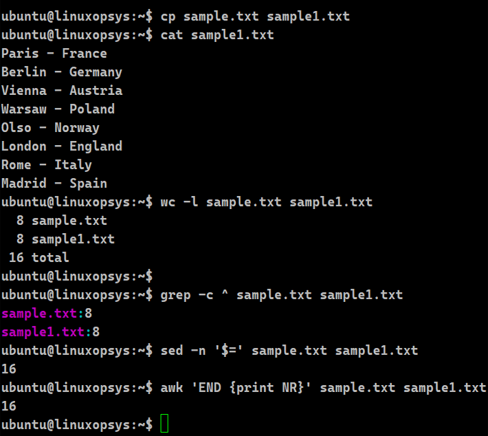 Bash Script for Counting Lines in a File