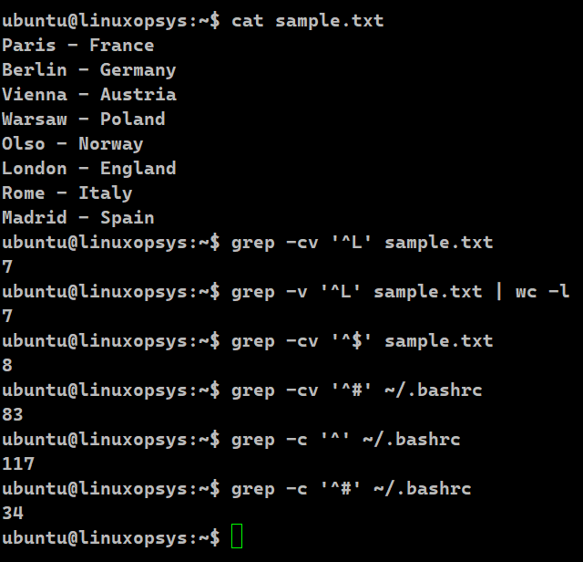 Bash Script for Counting Lines in a File