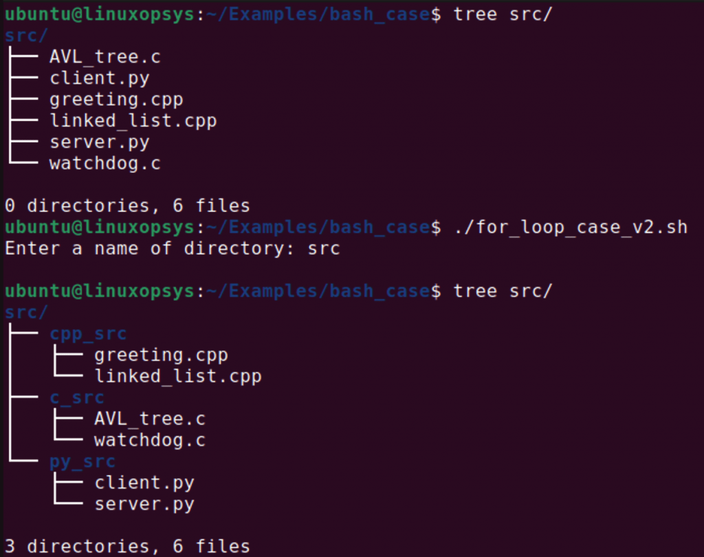 Case statement in Bash Shell Scripting
