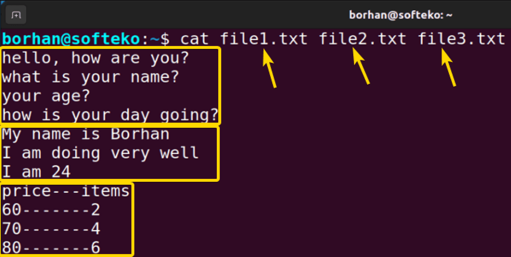 The “cat” Command in Linux [10 Practical Examples]