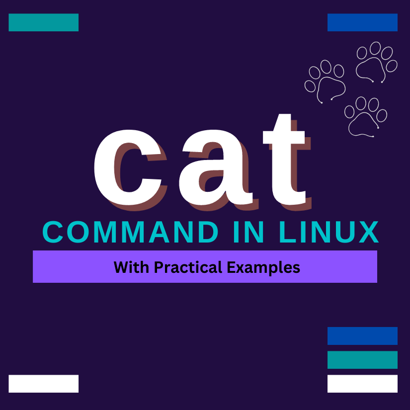 The “cat” Command in Linux [10 Practical Examples]
