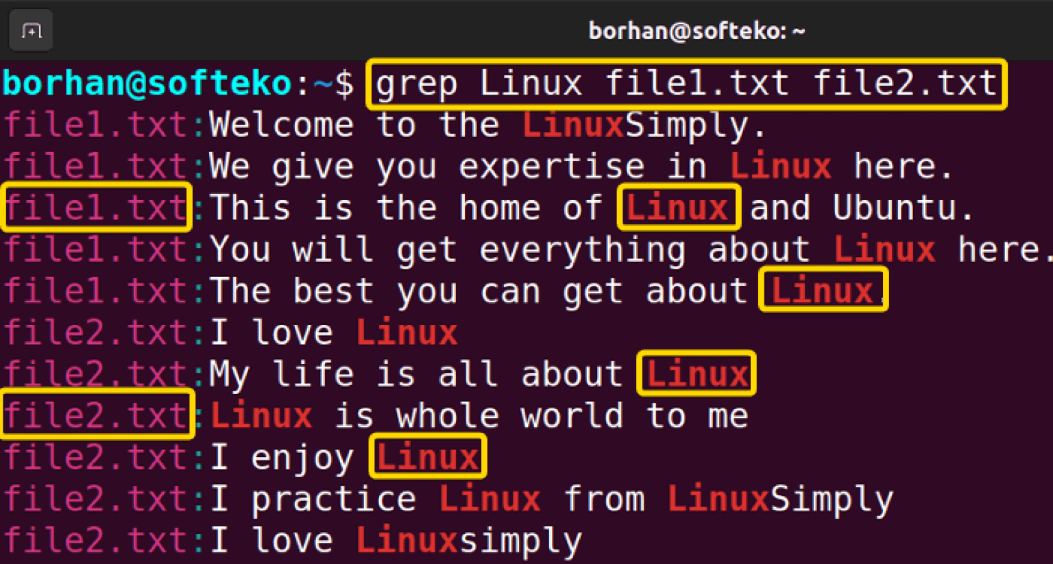 The “grep” Command in Linux [10+ Practical Examples]