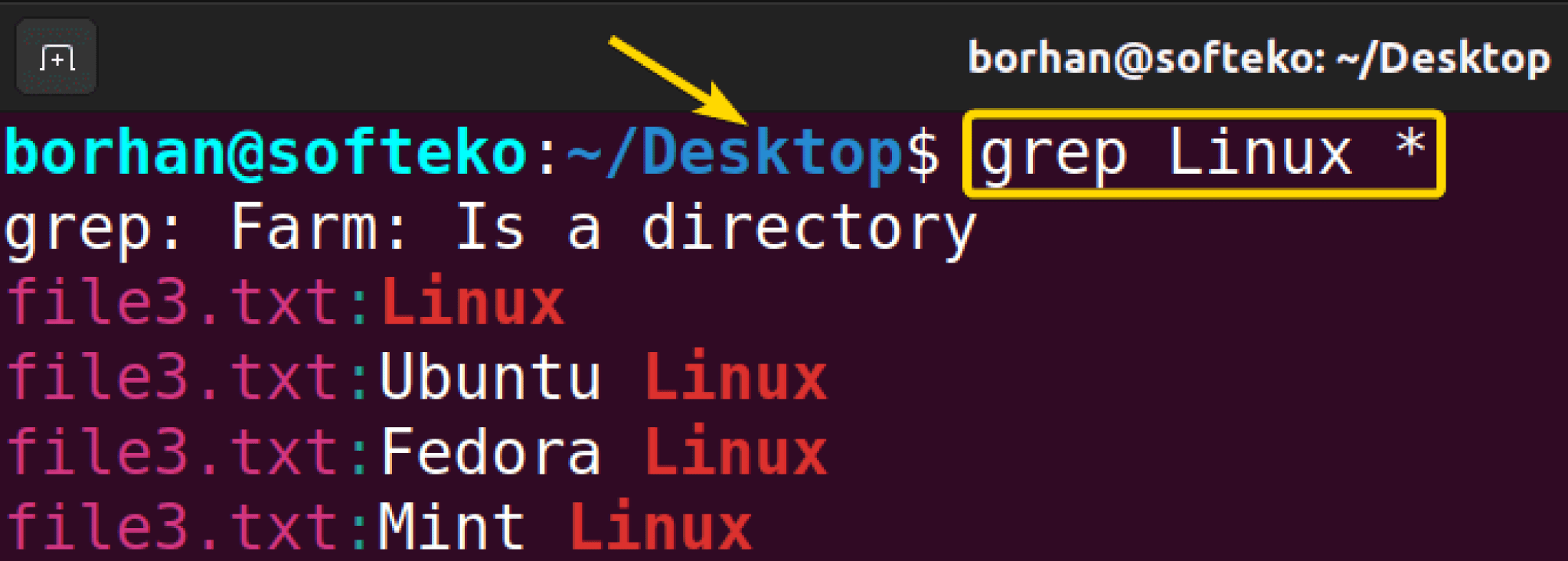 The “grep” Command in Linux [10+ Practical Examples]