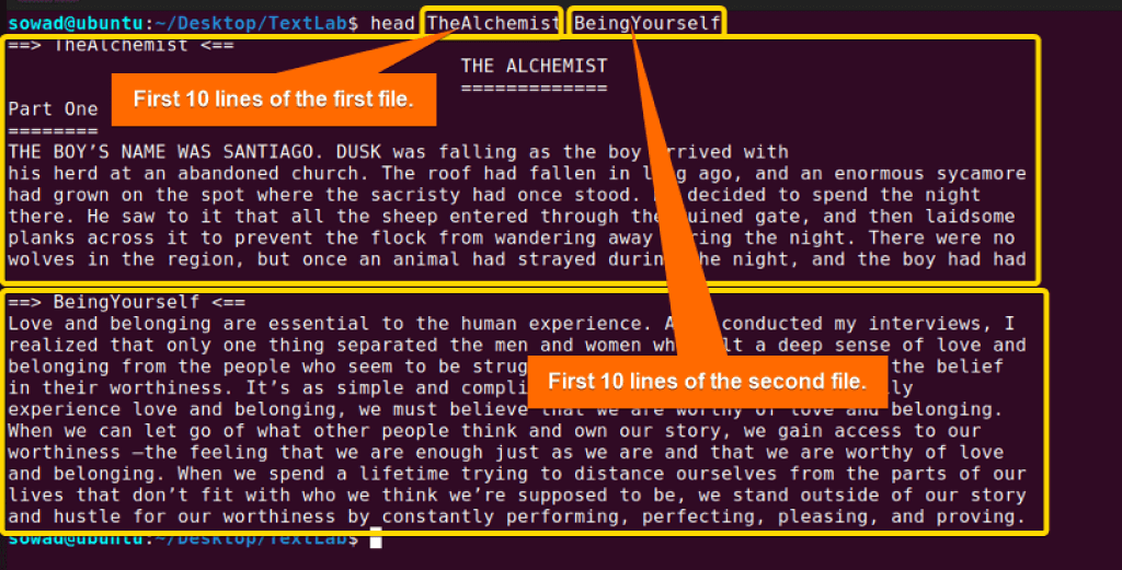 The “head” Command in Linux [7 Practical Examples] LinuxSimply
