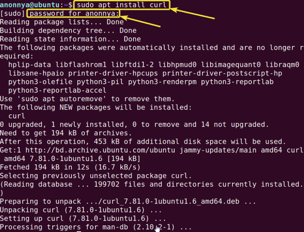 The “curl” Command in Linux [9 Practical Examples] LinuxSimply