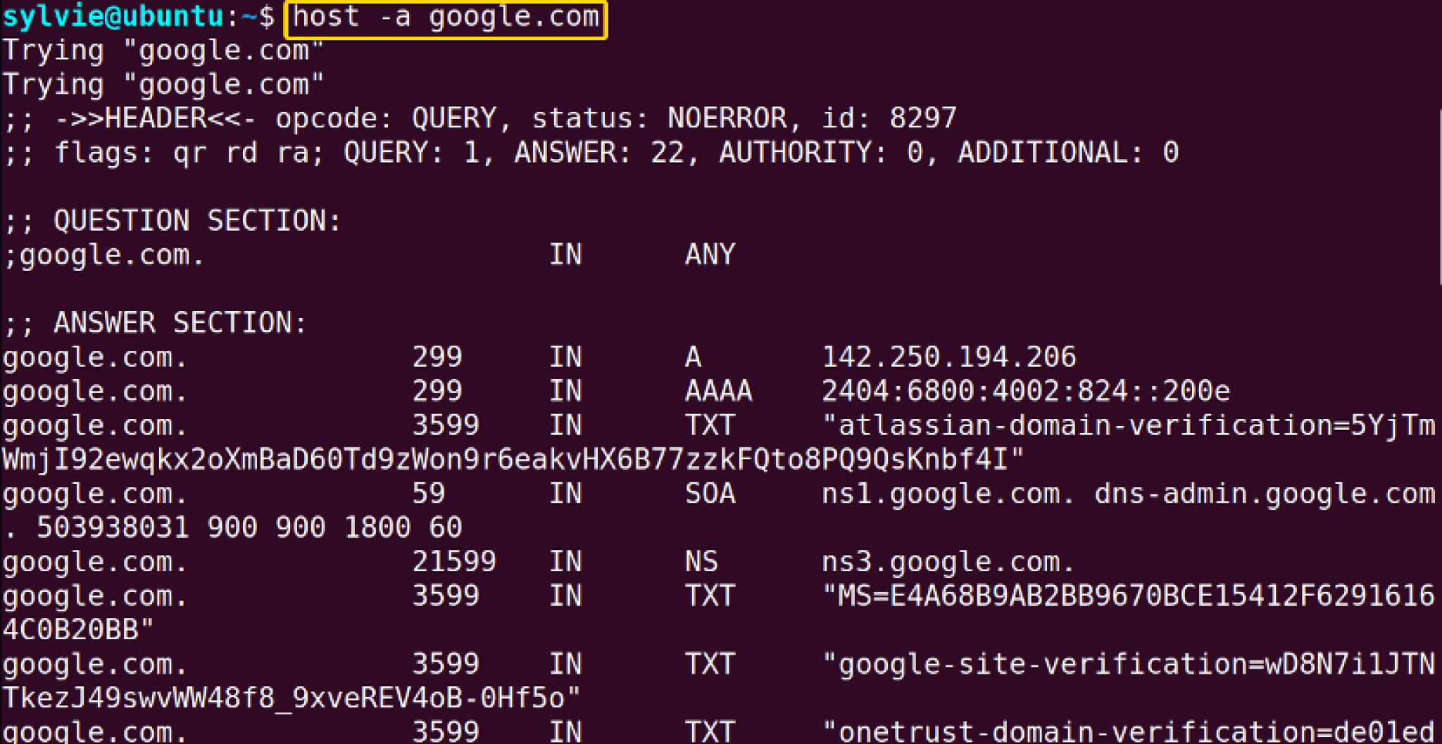The “host” Command in Linux [10 Practical Examples]