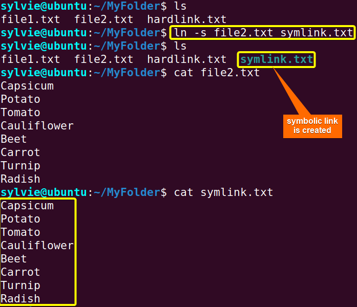 The “ln” Command in Linux [6 Practical Examples]