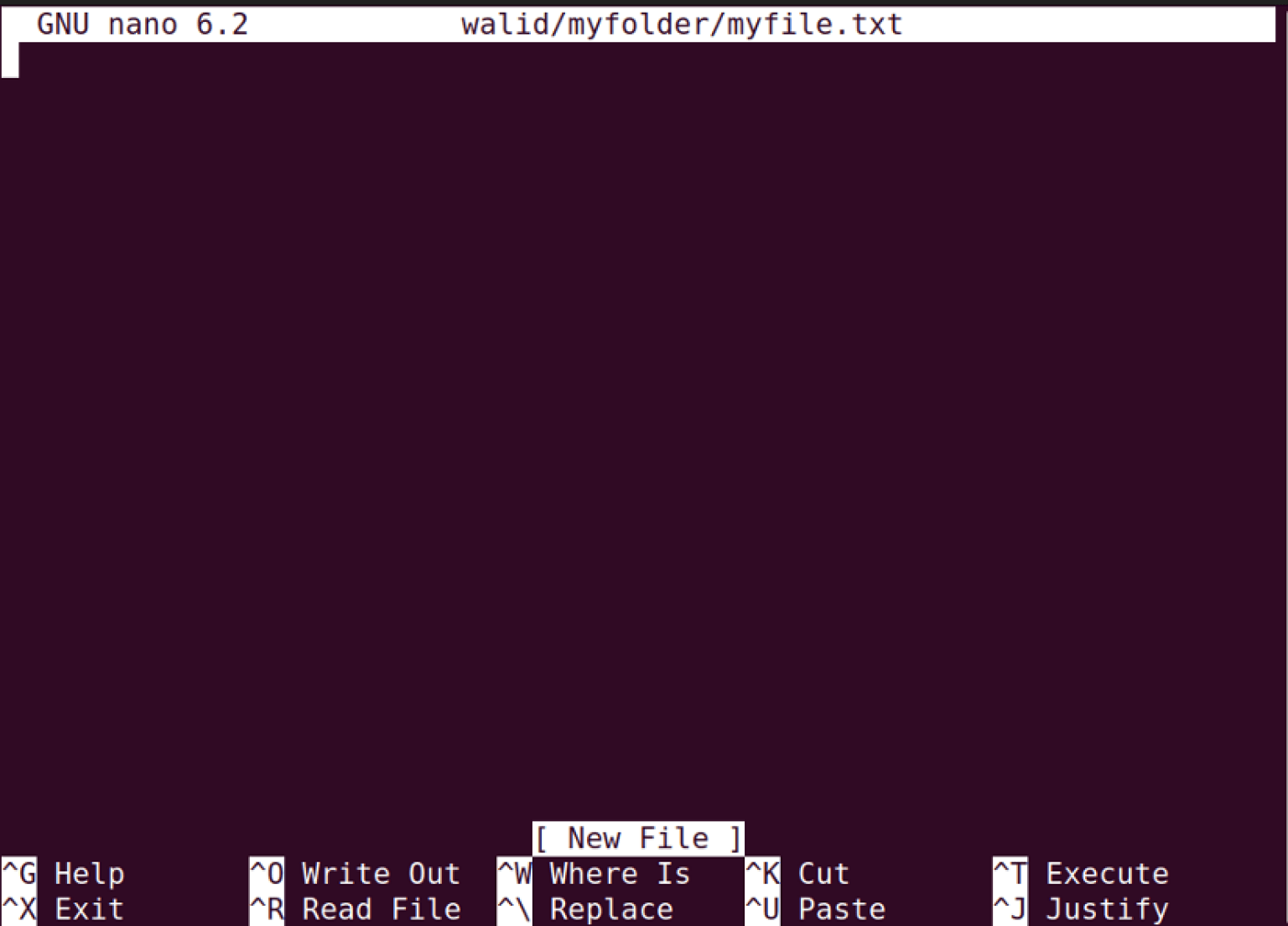 The “nano” Command in Linux [13 Practical Examples]