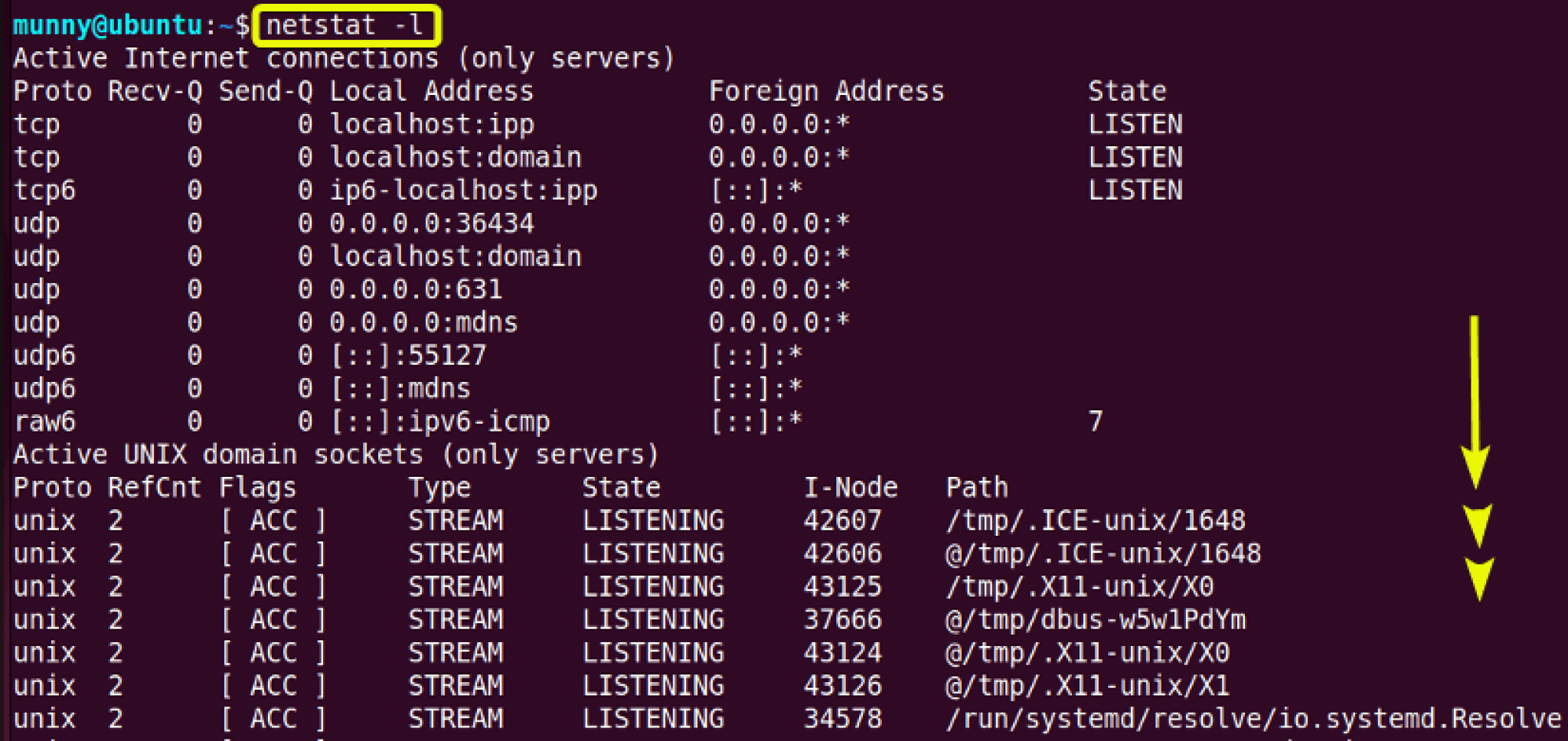 The Command in Linux [22 Practical Examples]