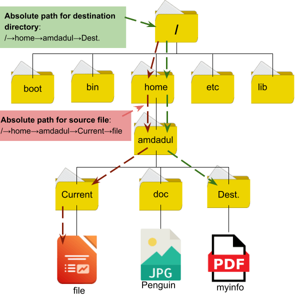 An Overview of Absolute Path in Linux [The Complete Guide]