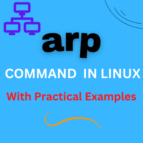 The “arp” Command in Linux [7 Practical Examples]
