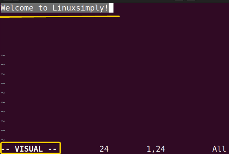 The “vim” Command in Linux [8 Practical Examples]