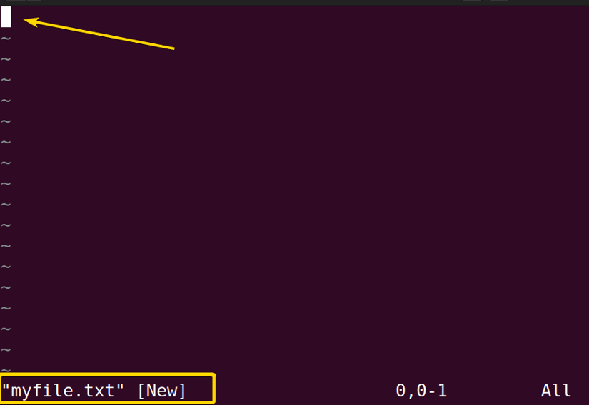 The “vim” Command in Linux [8 Practical Examples]