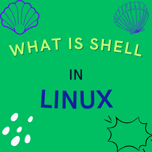 What is a Shell in Linux [A Comprehensive Summary]