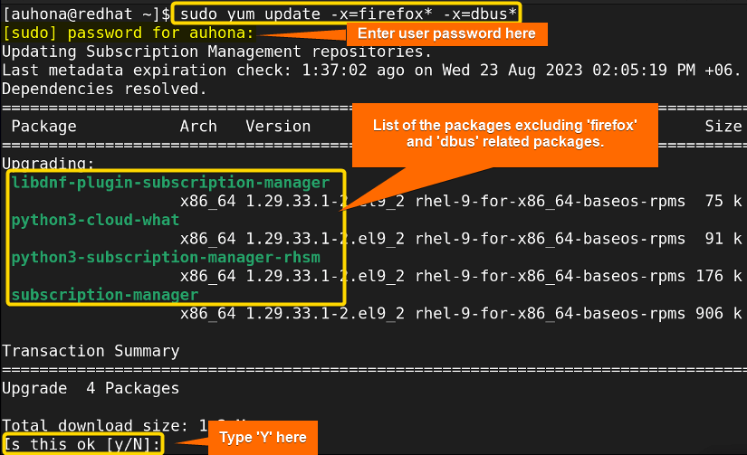 How to Update All Packages in RHEL Using YUM? [3 Cases] LinuxSimply