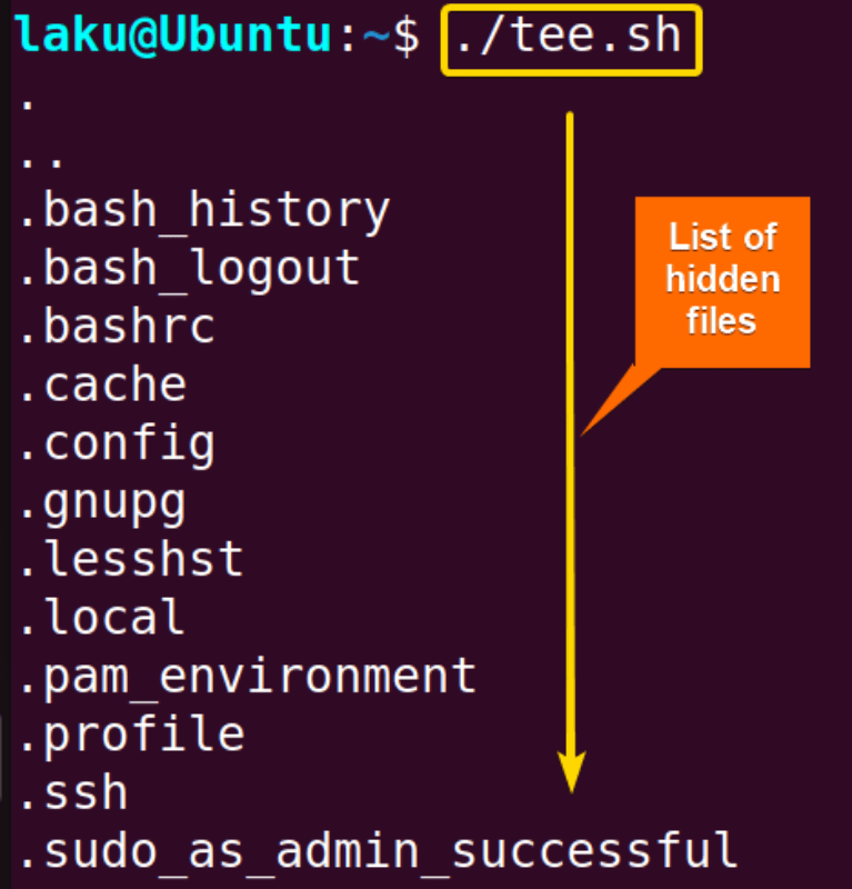 How to Write the Output to a File in Bash Script [5 Practical Cases]
