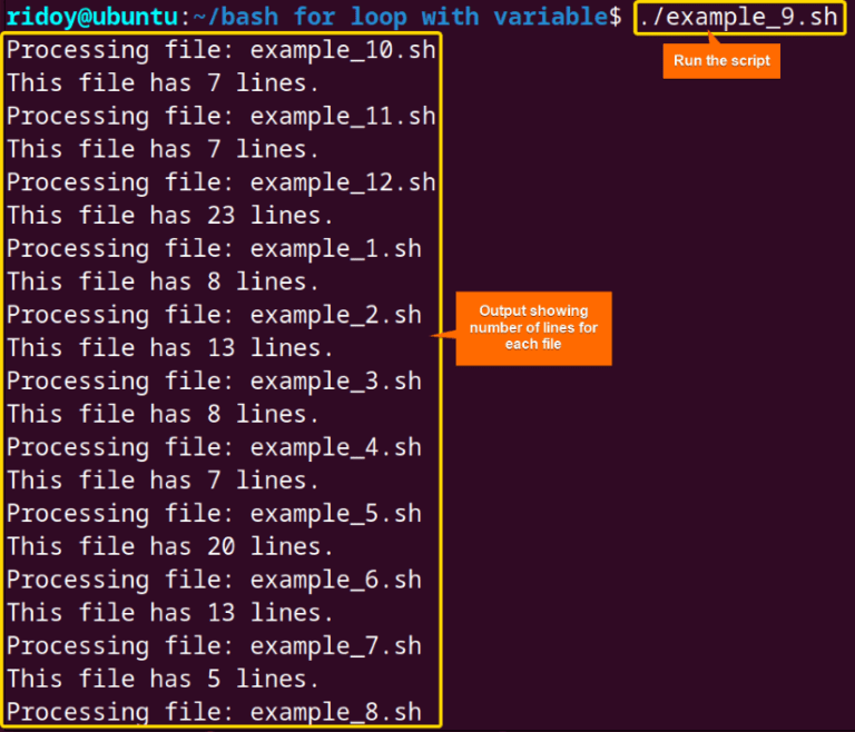 How to Use Bash “for” Loop with Variable [12 Examples] LinuxSimply