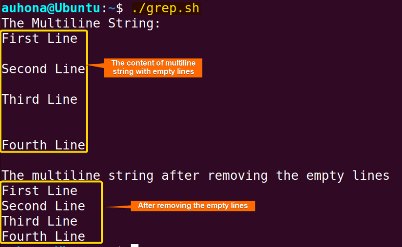 How to Remove Empty Lines in Bash? [5 Methods] LinuxSimply