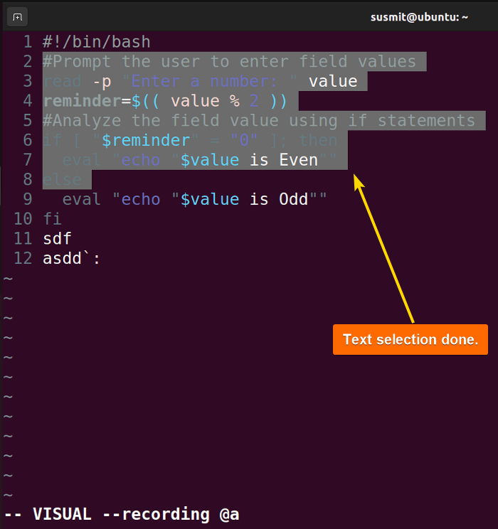 How to Select All Text in Vim? [5 Cases] LinuxSimply