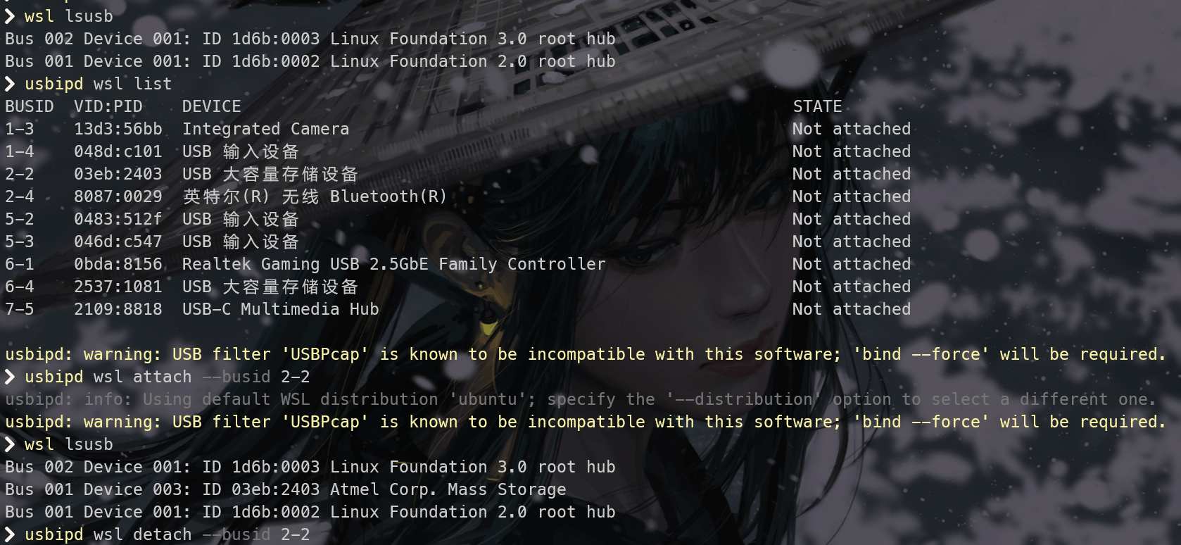 将USB设备连接到WSL2：分步教程 LinuxStory