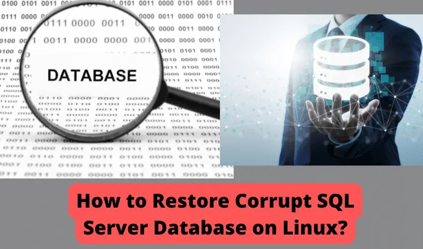How to Restore Corrupt SQL Server Database on Linux? LinuxTechLab