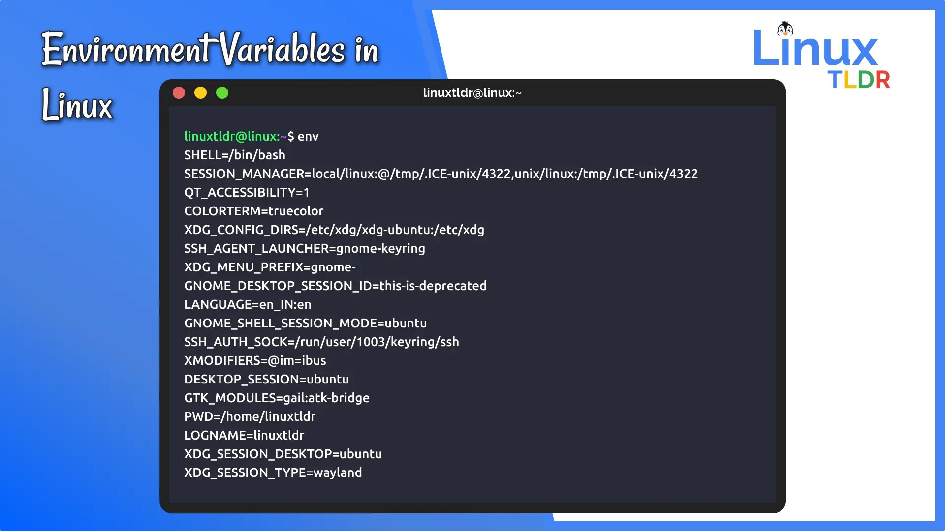 How to Set and List Environment Variables in Linux