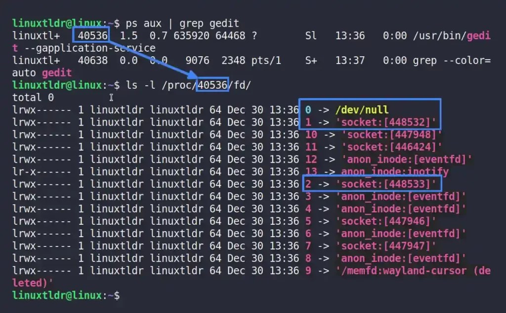 What are File Descriptors in Linux