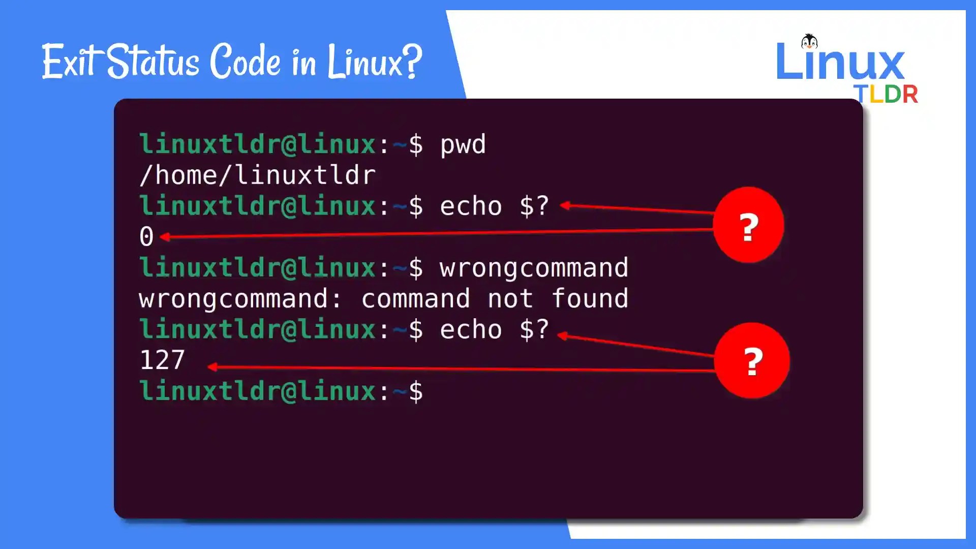 What is Exit Status Code (?) of Last Command in Linux