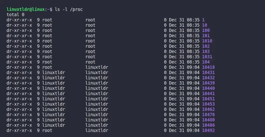 Everything About /proc File System in Linux