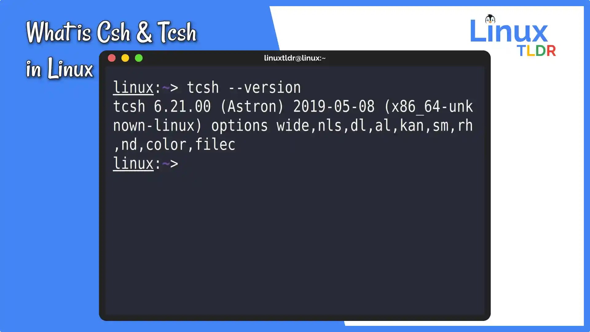 What is C Shell (and Tcsh) in UNIX/Linux System