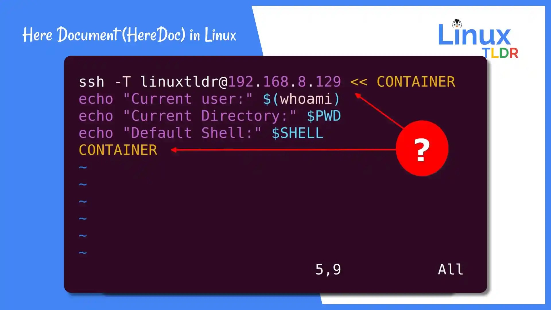 How to Use Here Document (HereDoc) in Linux Shell Script
