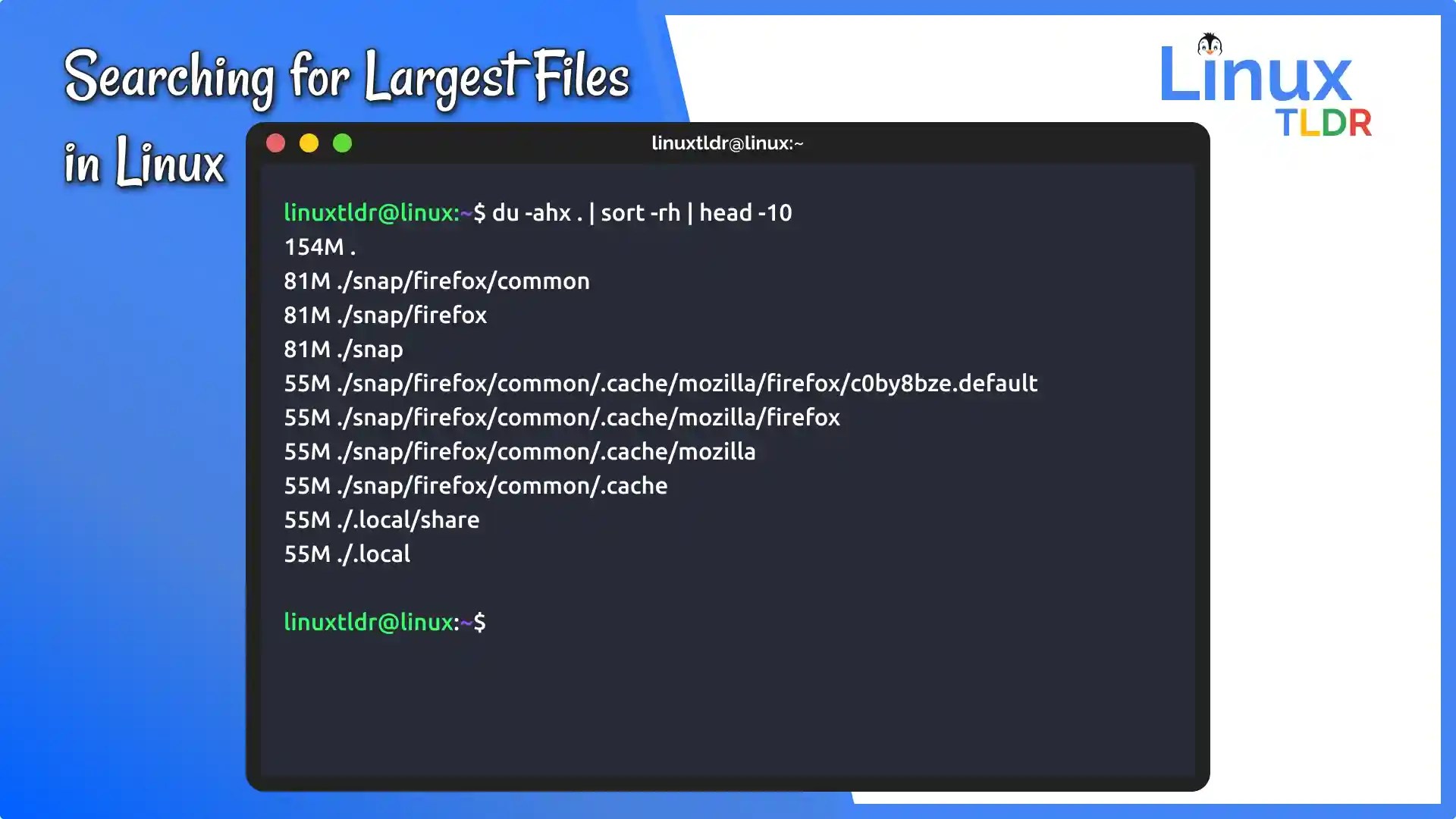 How to Find and List the Largest Files in Your Linux System
