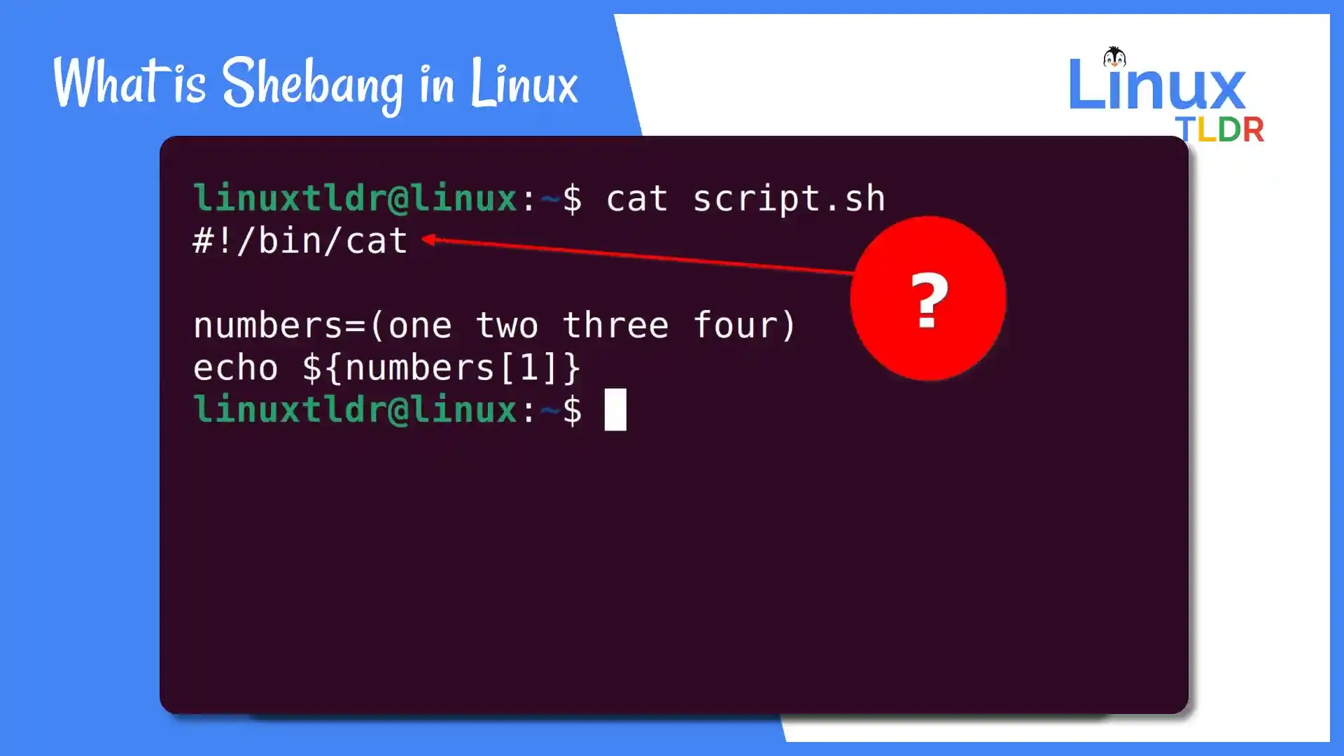 What is Shebang (! /bin/bash) in Linux Shell Script