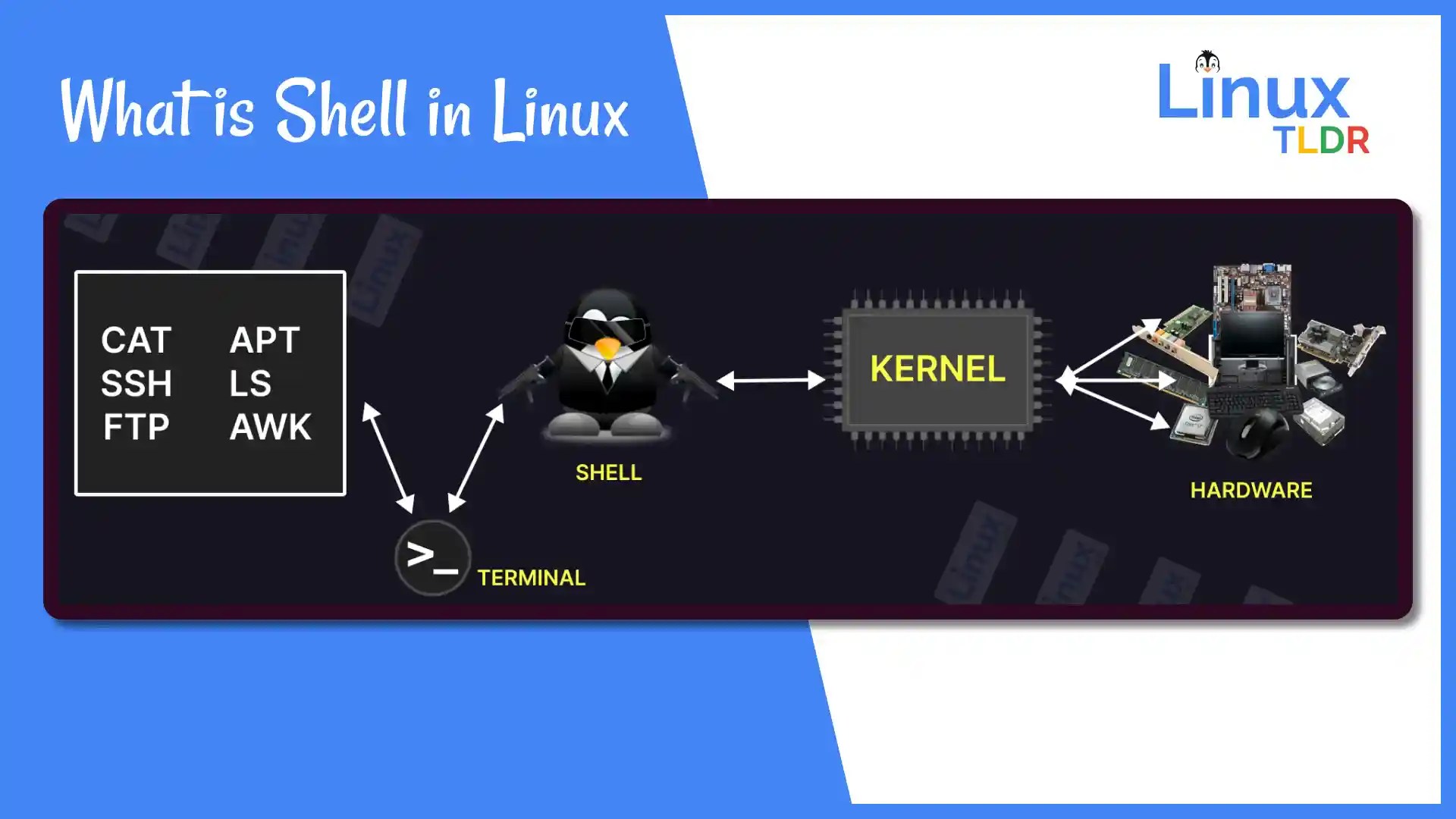 What is Shell? CLI vs GUI Shell Scripting Explained