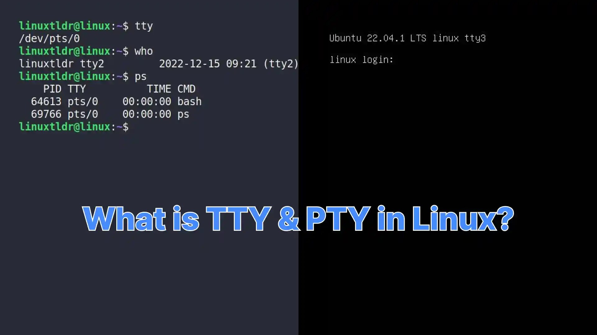 What is TTY and PTY on Linux?