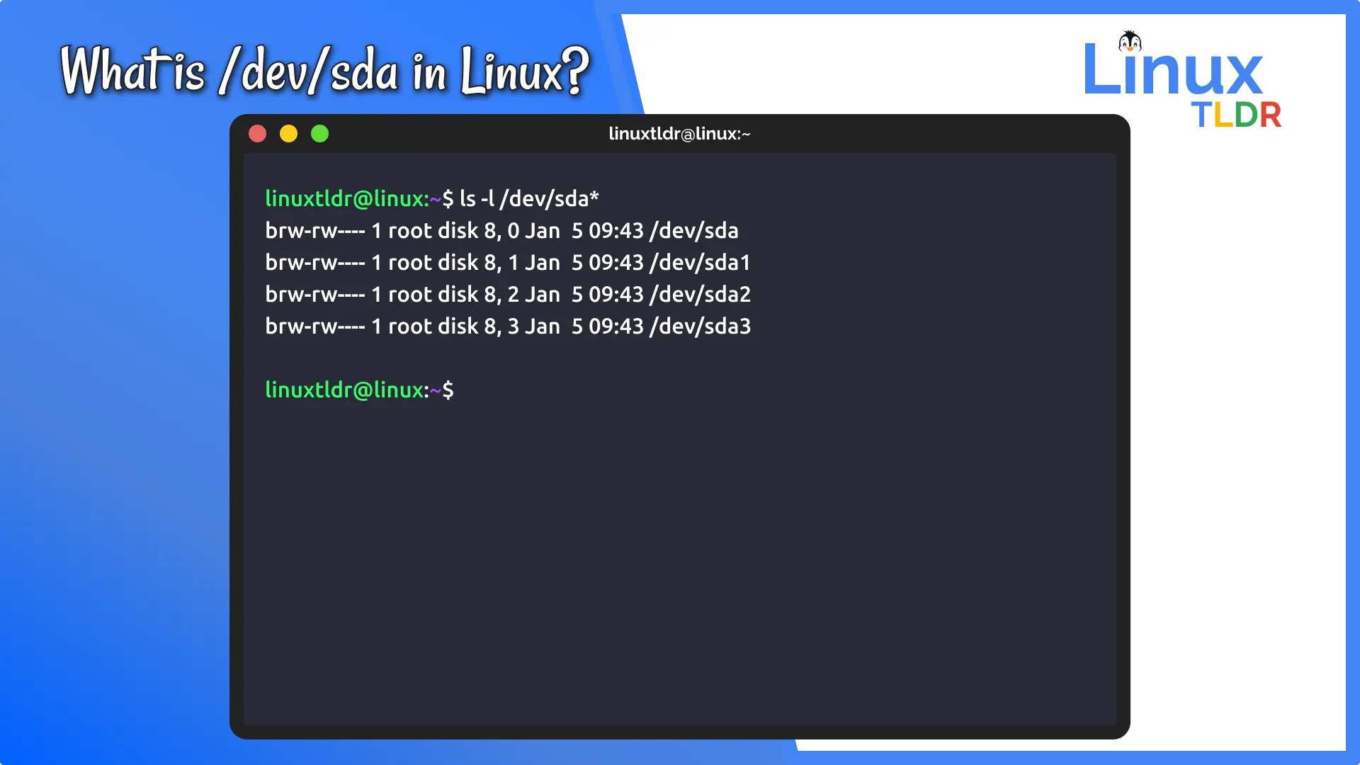 Purpose of /dev/sda on Linux (When to Use It with an Example)