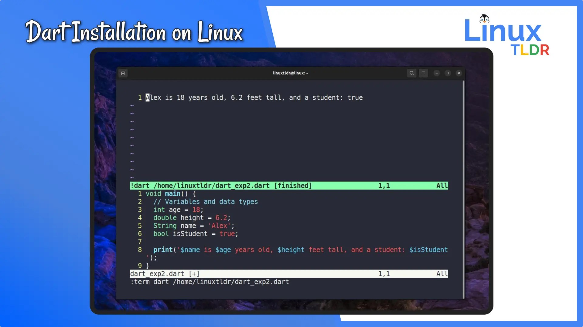 Installing Dart Programming Language on Linux