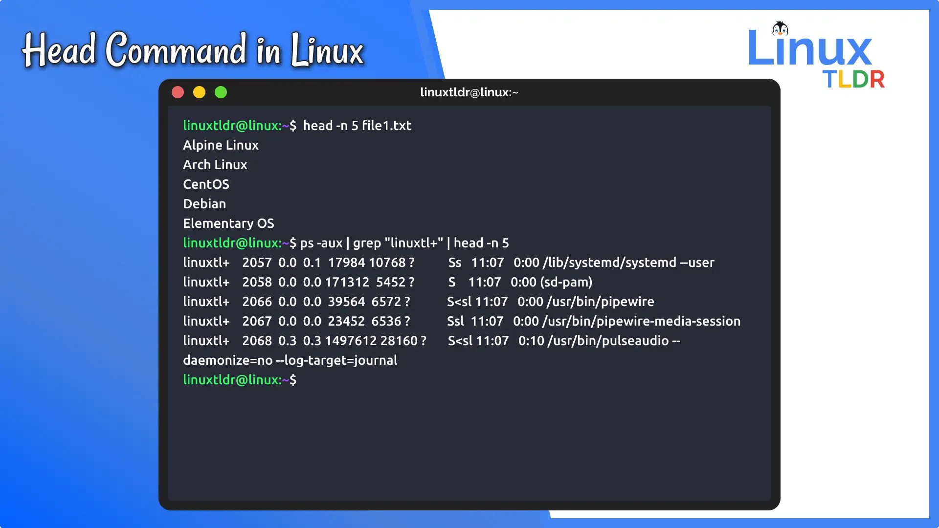 Linux Head Command View Top of Files & Command Output