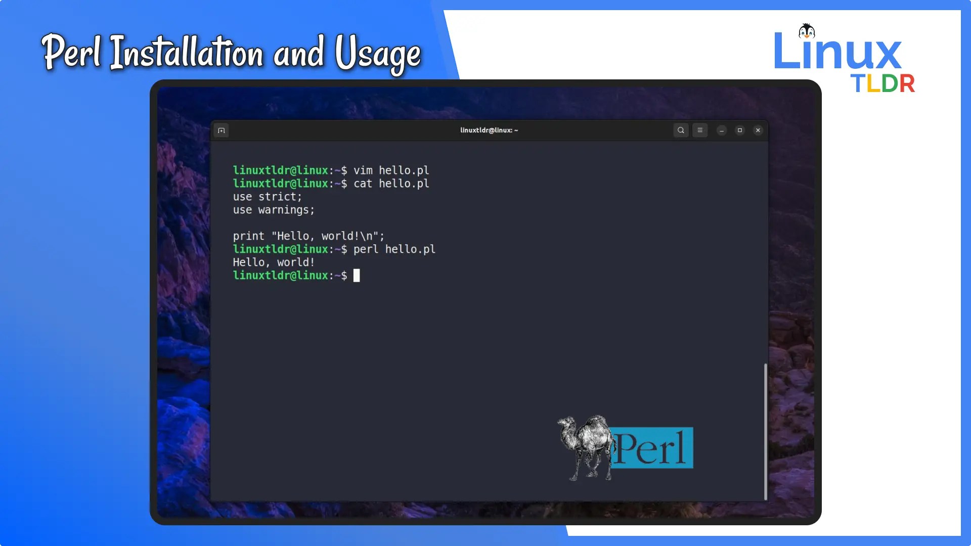 How to Install and Use Perl on Linux