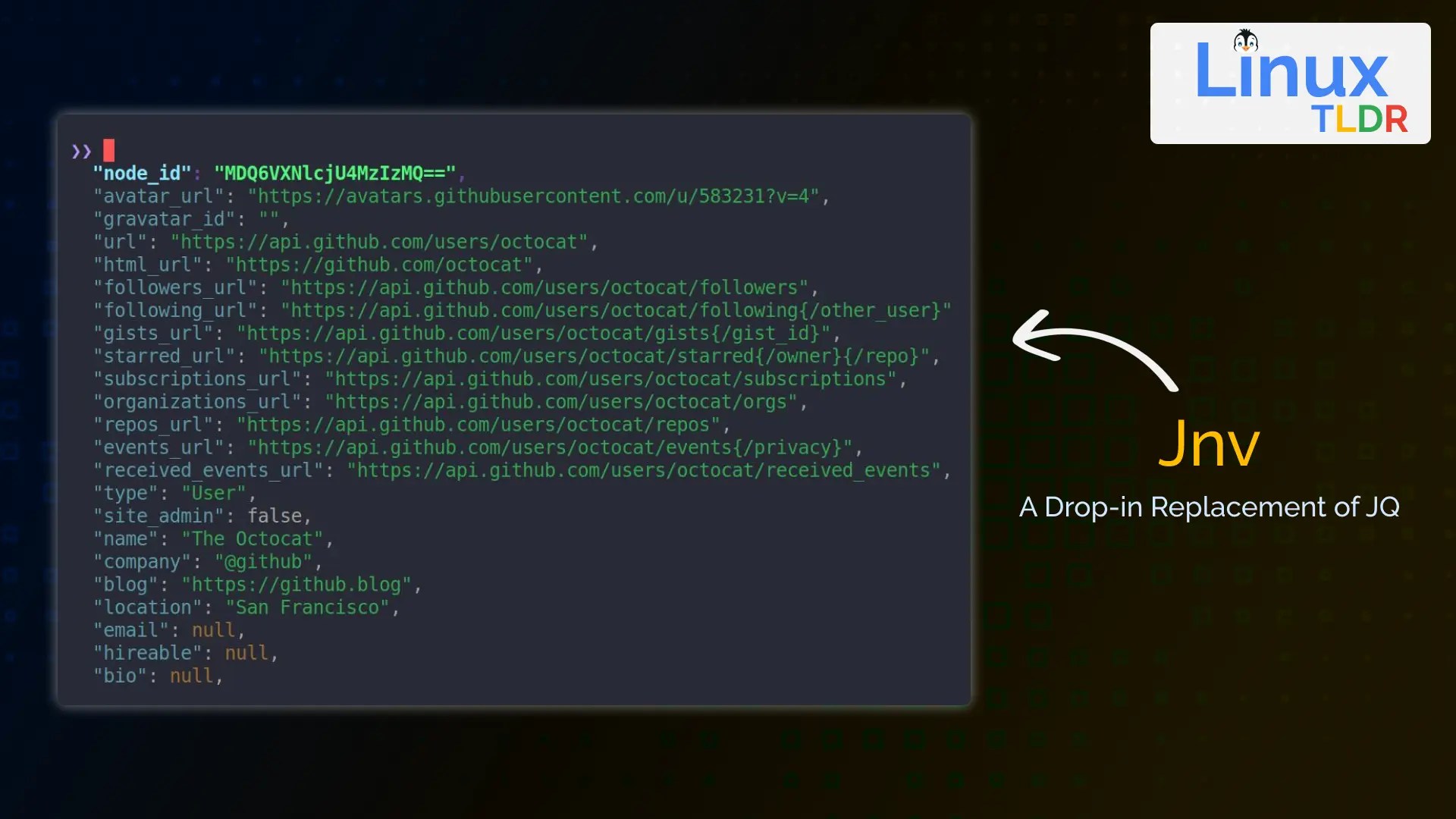 jnv An Interactive JSON Viewer and jq Filter Editor for Linux