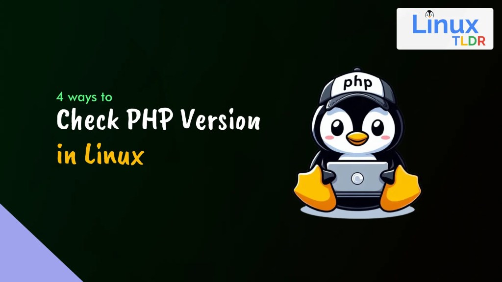How to Check PHP Version in Linux (via 4 Methods)