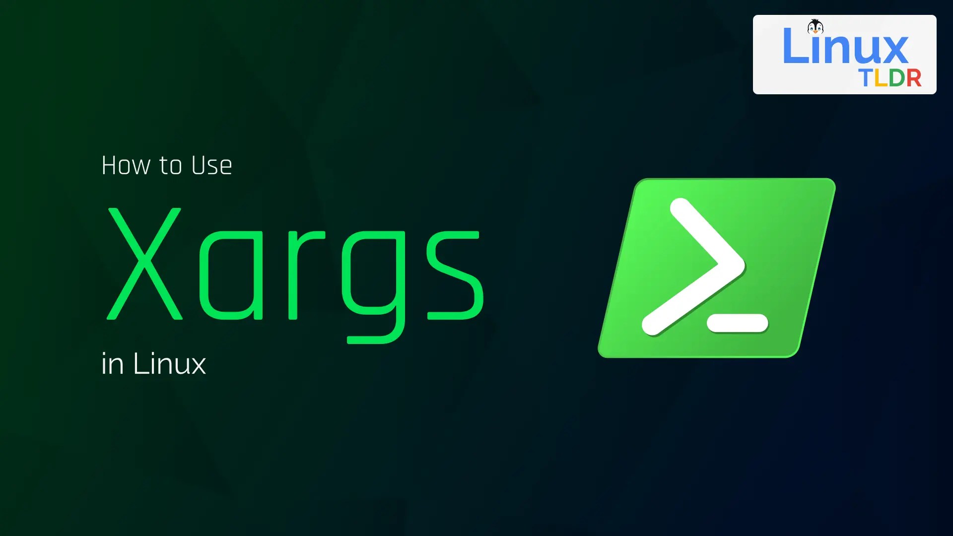 What is Xargs and How to Use it (with 13 Examples)